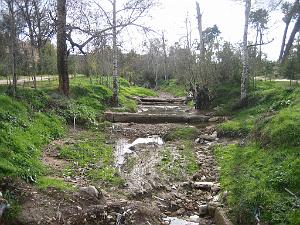 LE TELAGH Le Bosquet  03